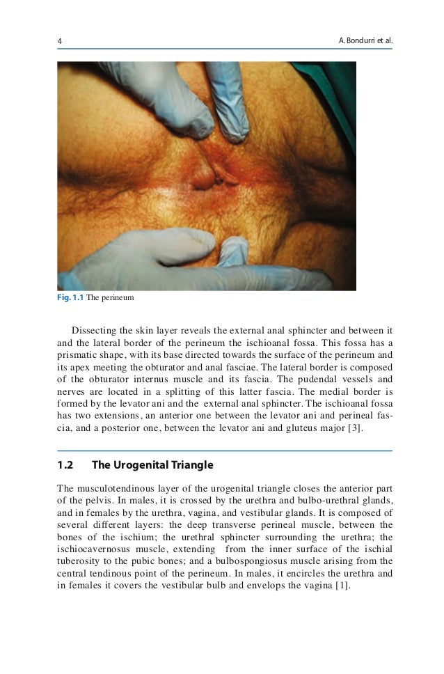 peri anal irritation Vagina discharge and itching